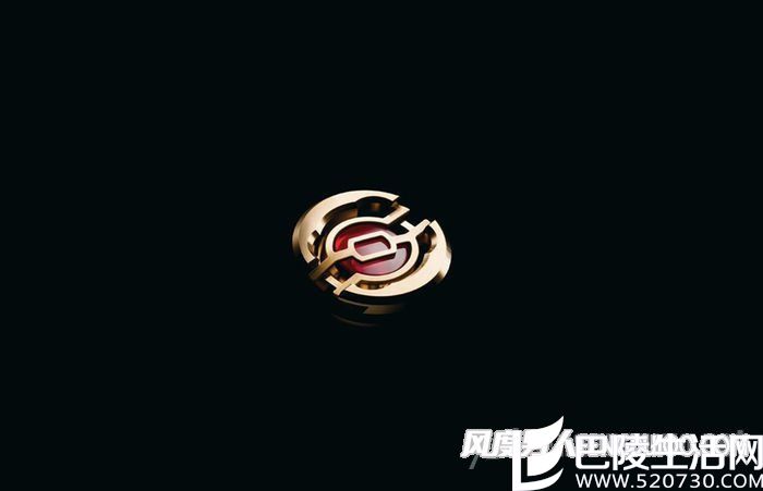 Paraflex避震器 Paraflex避震器