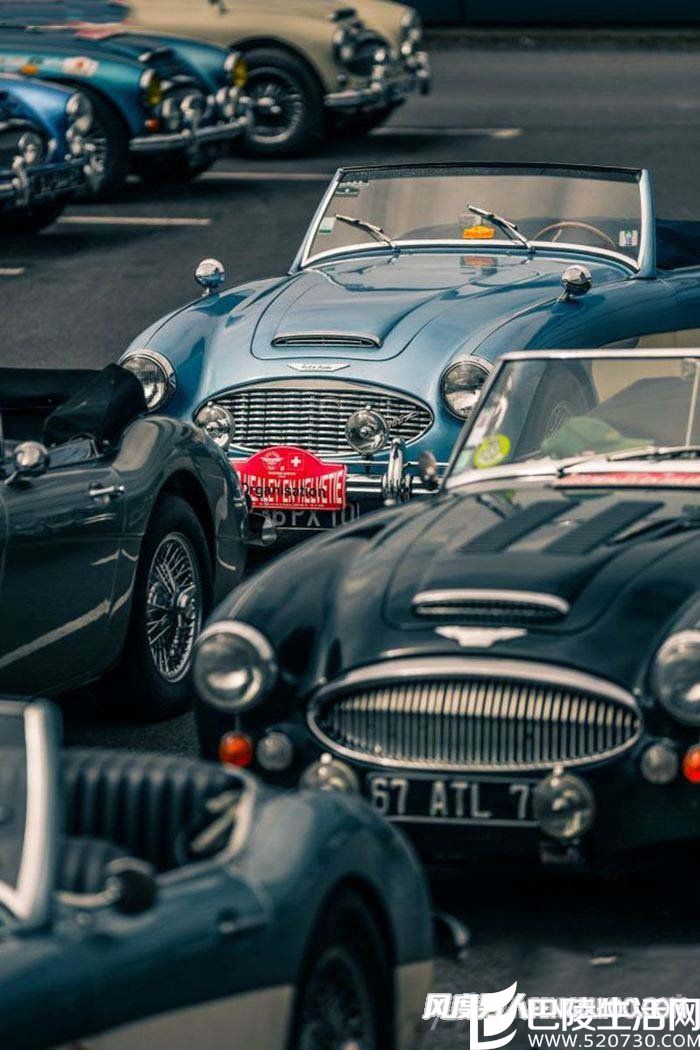 古董跑车Austin Healey 古董跑车Austin Healey