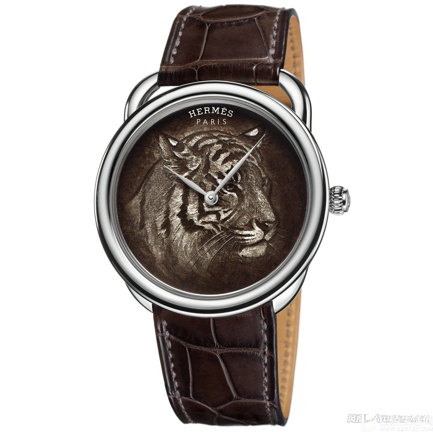 Arceau tigre腕表全貌 Arceau tigre腕表全貌