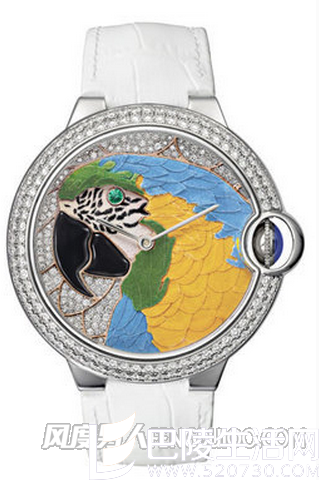 卡地亚桑托斯系列Dumont XL Hourse Motif腕表 卡地亚桑托斯系列Dumont XL Hourse Motif腕表