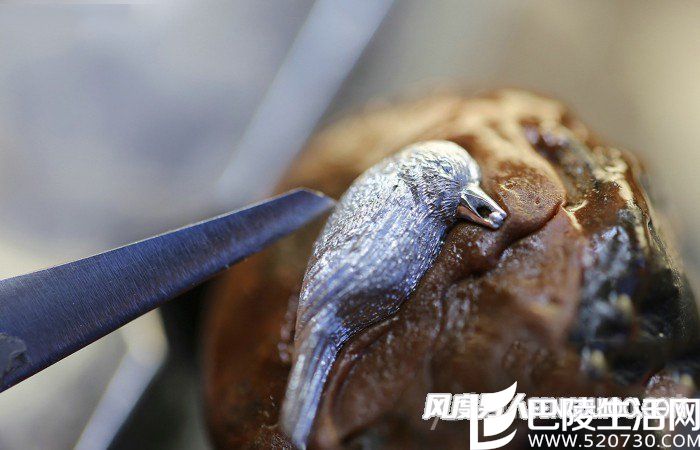 雅克德罗雀鸟金雕 雅克德罗雀鸟金雕