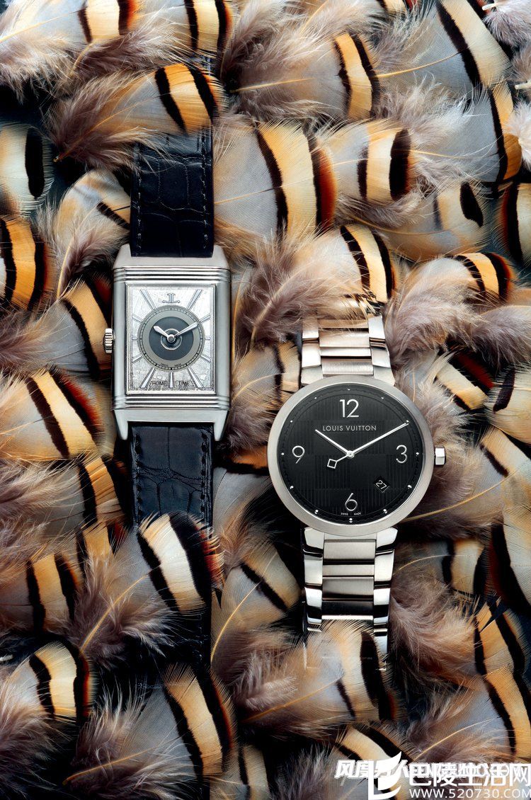 积家Reverso  Louis Vuitton