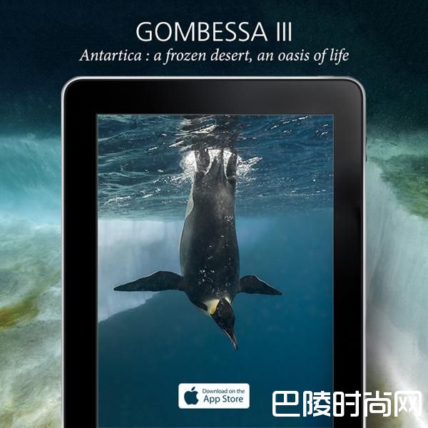 宝珀《Lettres du Brassus》第17期:东瀛风貌