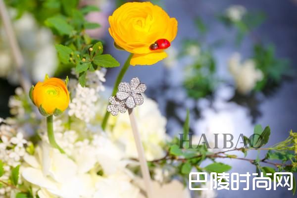 梵克雅宝(Van Cleef&Arpels) Frivole系列新品发布会