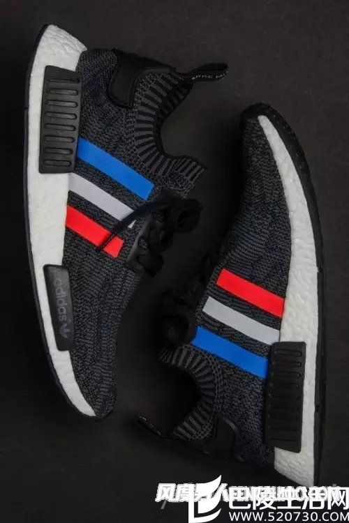 adidas Originals NMD_R1