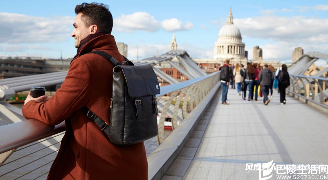 皮质双肩包 皮质双肩包