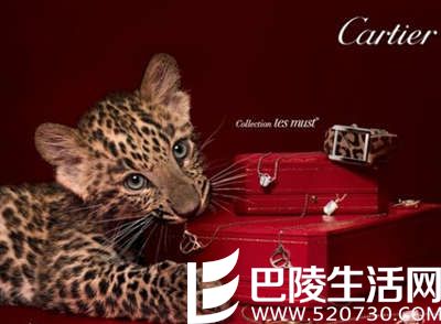 钻石戒指买什么牌子好