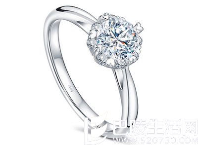 钻石小鸟拥暖多少钱