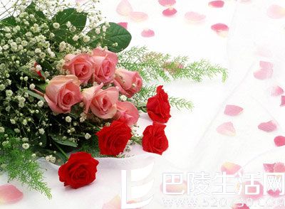 求婚用什么花最合适