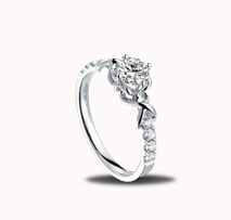 情有千千•蝴蝶结