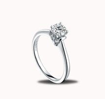 情有千千•半结