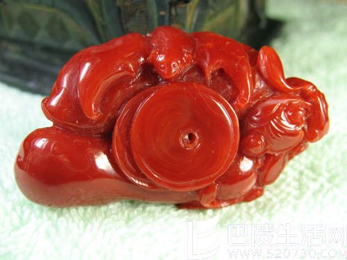 红珊瑚饰品选购指南