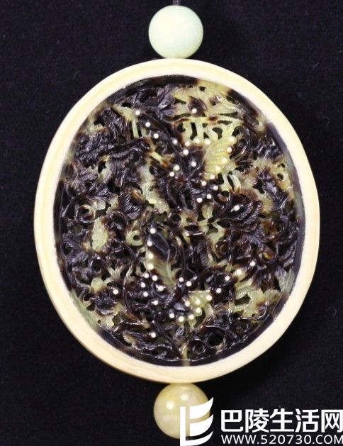 玳瑁双方蝴蝶牌