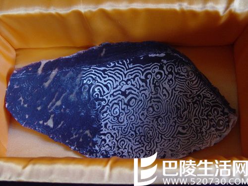 玳瑁的功效和价值