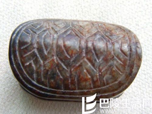 龟甲正确保养方法