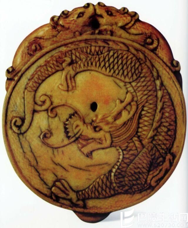 玳瑁正确保养方法