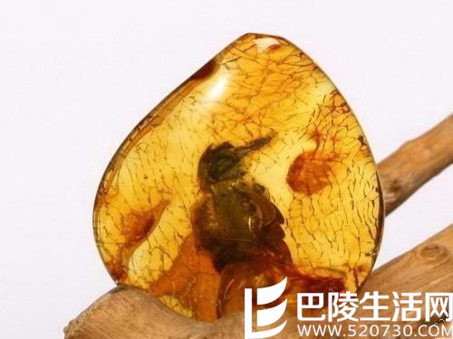 天然琥珀与优化处理的区别