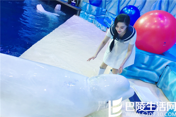 范冰冰和白鲸宝宝