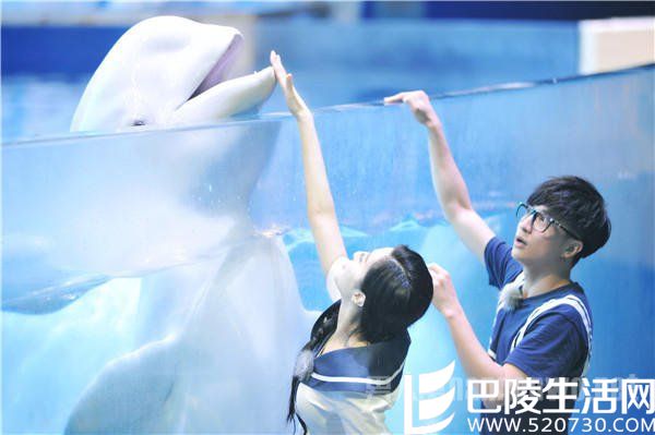 范冰冰《挑战者联盟》