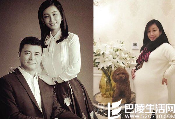 王新军老婆秦海璐