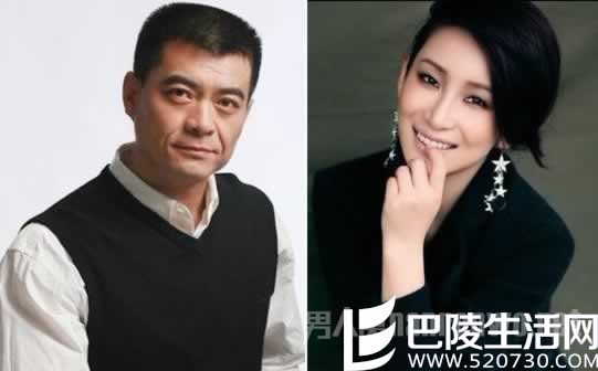 秦海璐怀孕故事