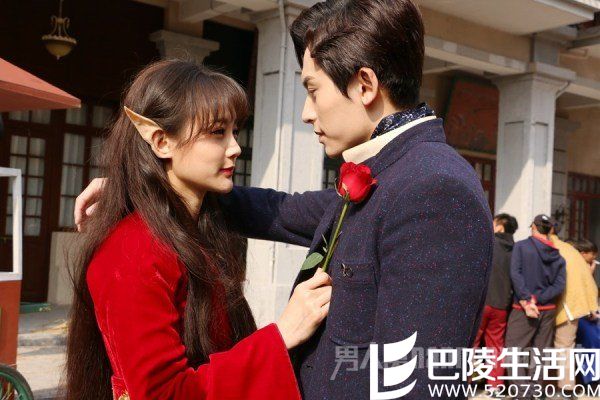 张哲瀚李一桐是什么关系