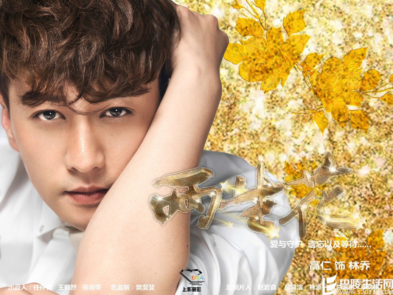 高仁演过的电视剧有哪些