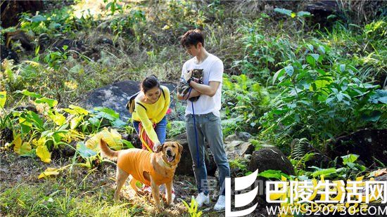 张云龙《神犬小七2》 张云龙《神犬小七2》