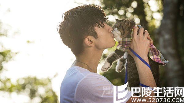 张云龙背景如何