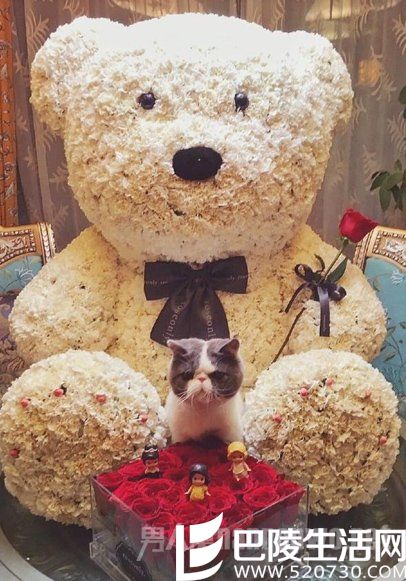 范冰冰七夕没到就晒花虐狗