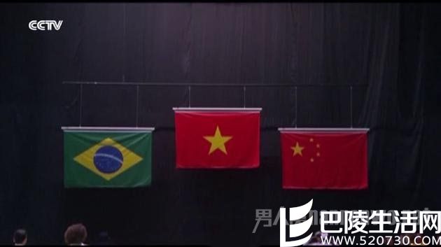 此前曝光的错误中国国旗