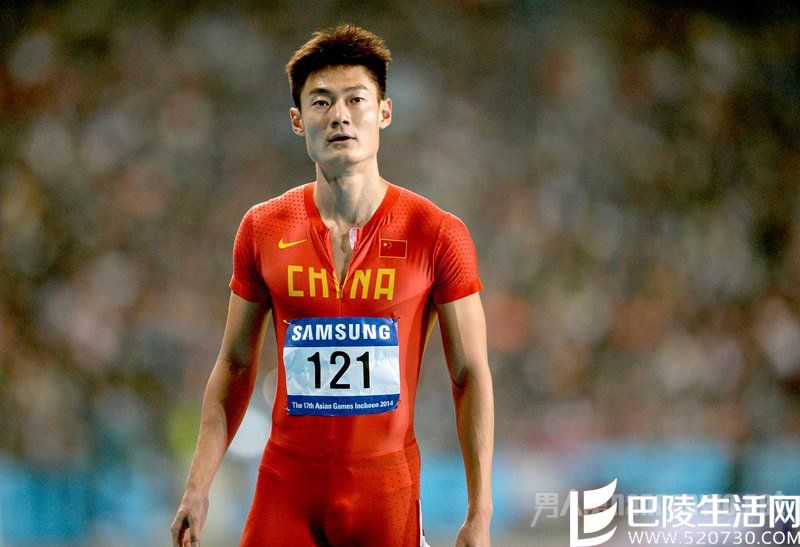 张培萌获得荣誉