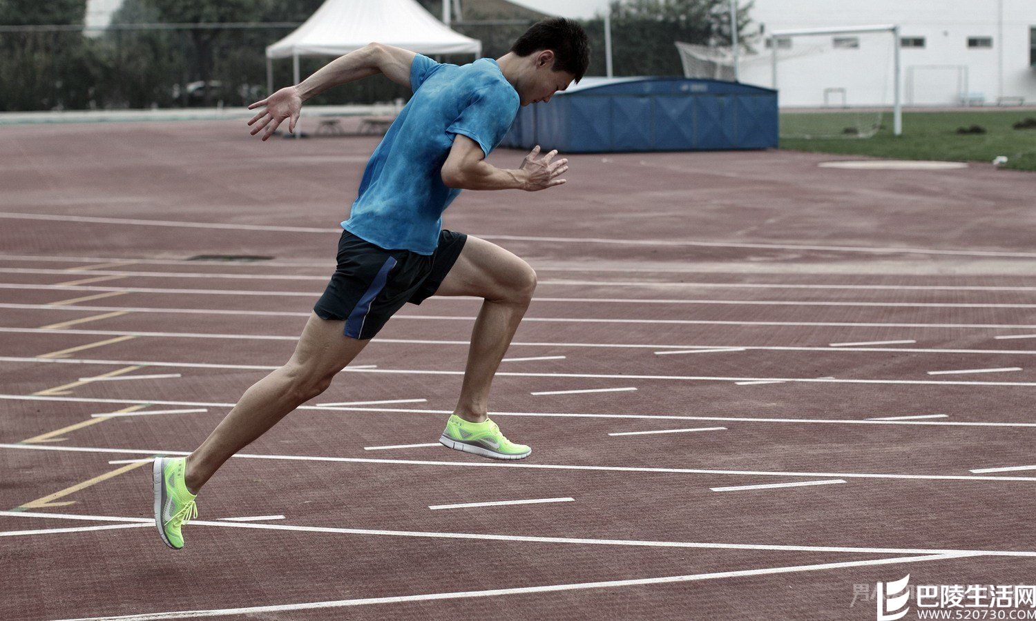 张培萌荣誉称号