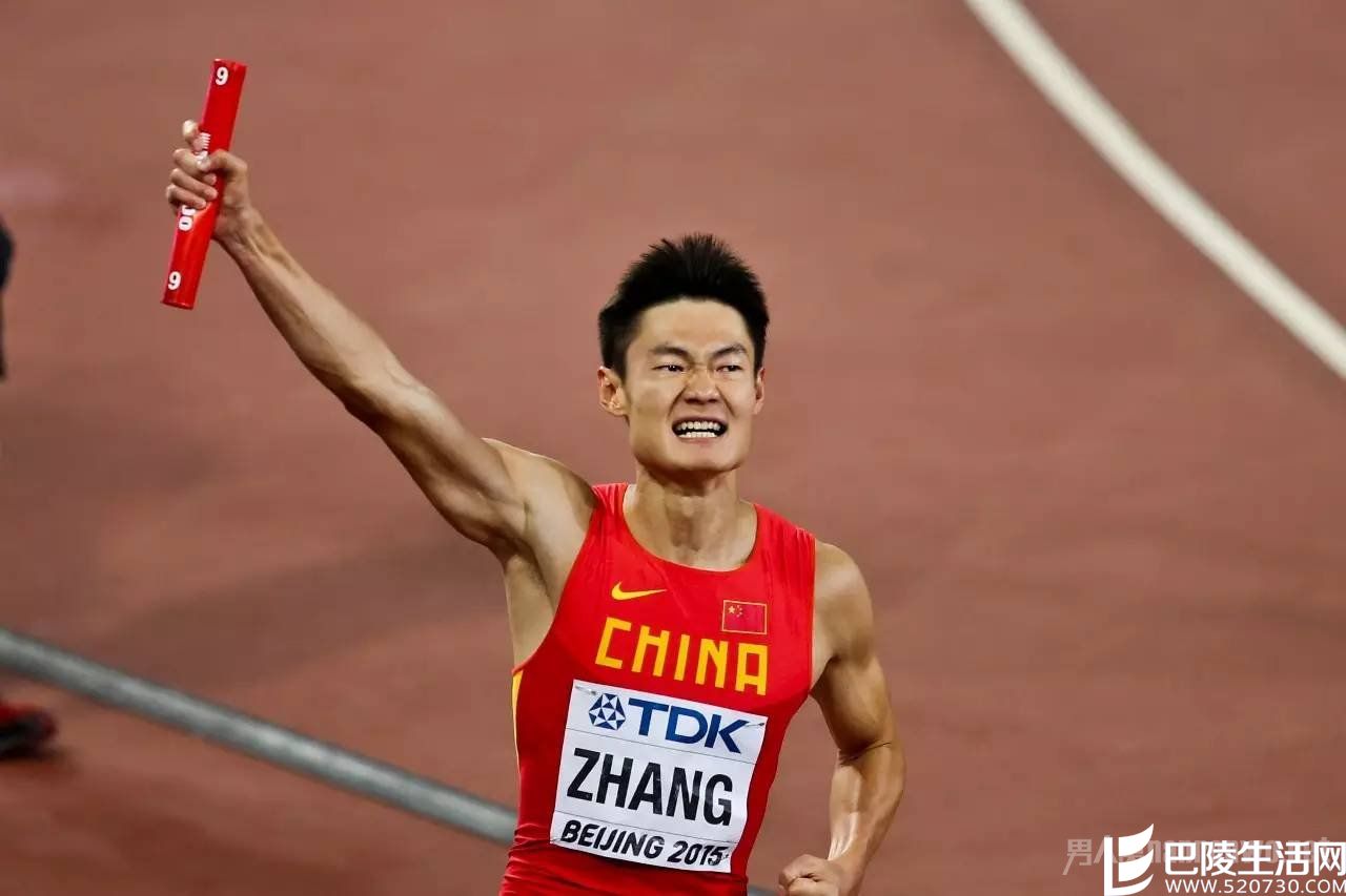 张培萌主要成就