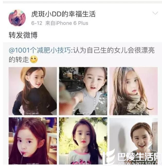 杨慧微博 杨慧微博