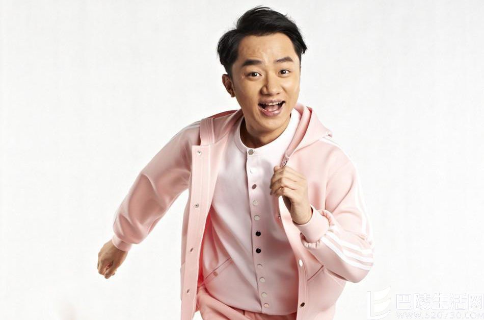 王祖蓝个人资料