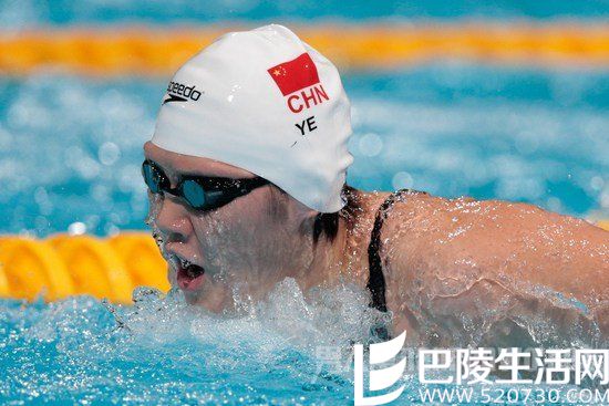 社会对叶诗文的评价