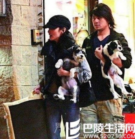 宠物分家 宠物分家