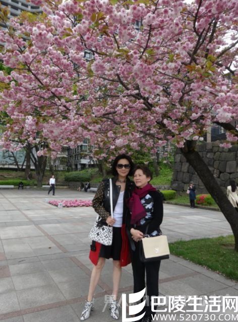 刘嘉玲妈妈 刘嘉玲妈妈