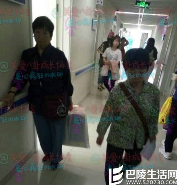 网曝郑爽出现在医院 网曝郑爽出现在医院