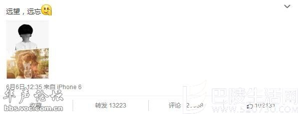 许晴微博 许晴微博