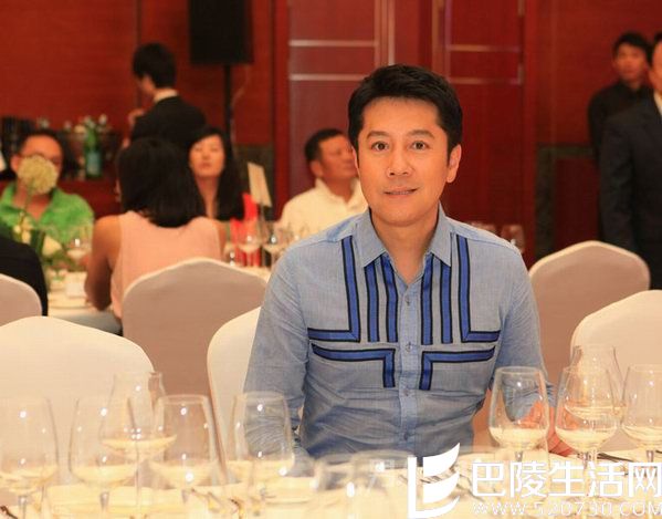 蔡国庆老婆成迷 蔡国庆老婆成迷