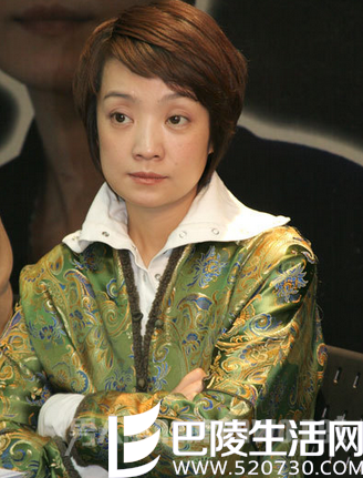 张嘉译的老婆五官精致