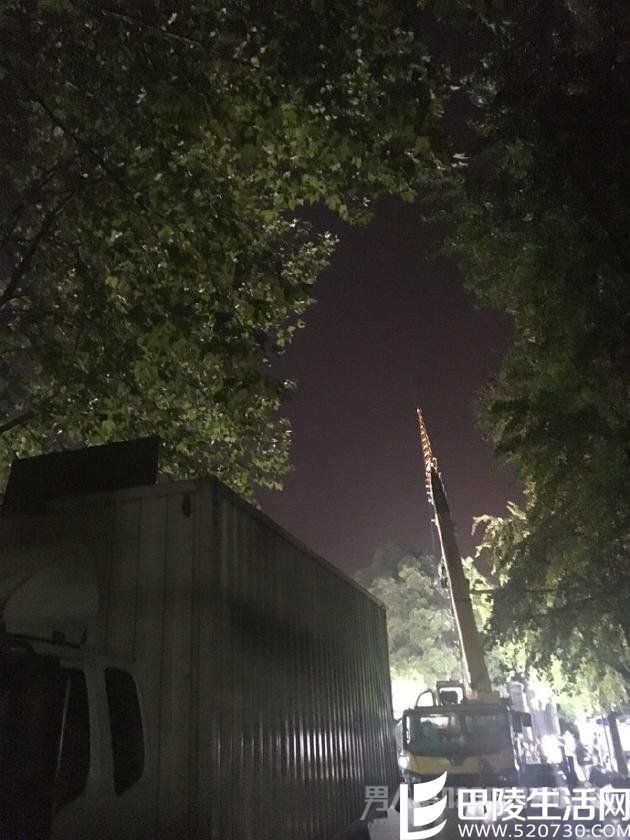 冯绍峰微博配图