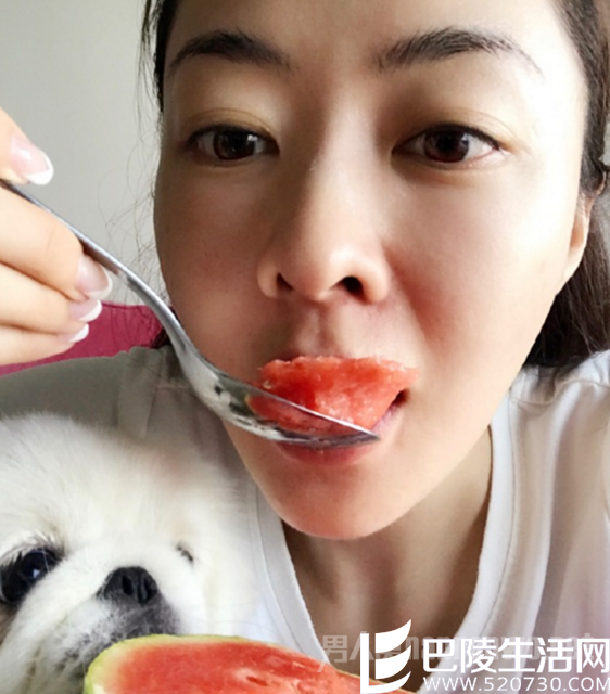 熊黛林吃西瓜美照 熊黛林吃西瓜美照