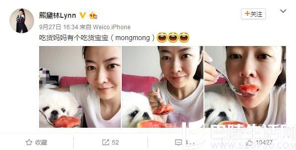 熊黛林微博截图 熊黛林微博截图