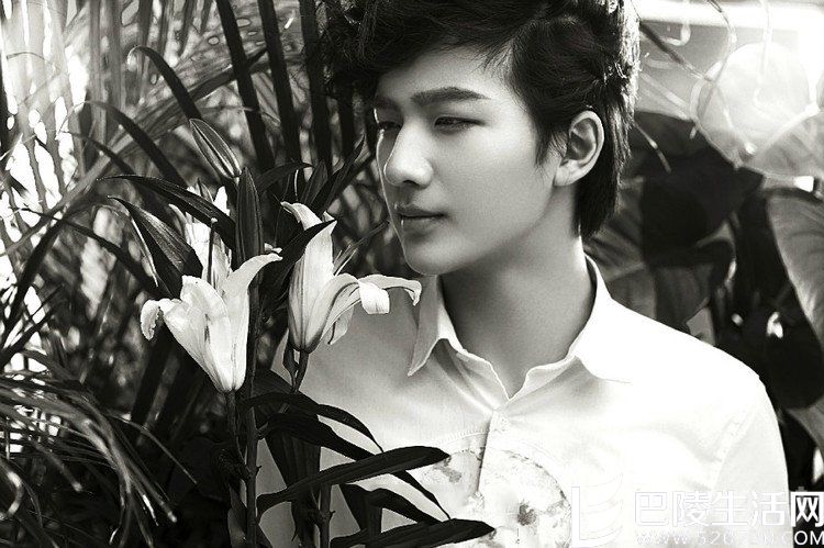 李宏毅主演富家男孩