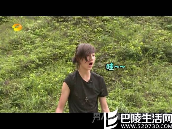 在变形记中的李宏毅 在变形记中的李宏毅