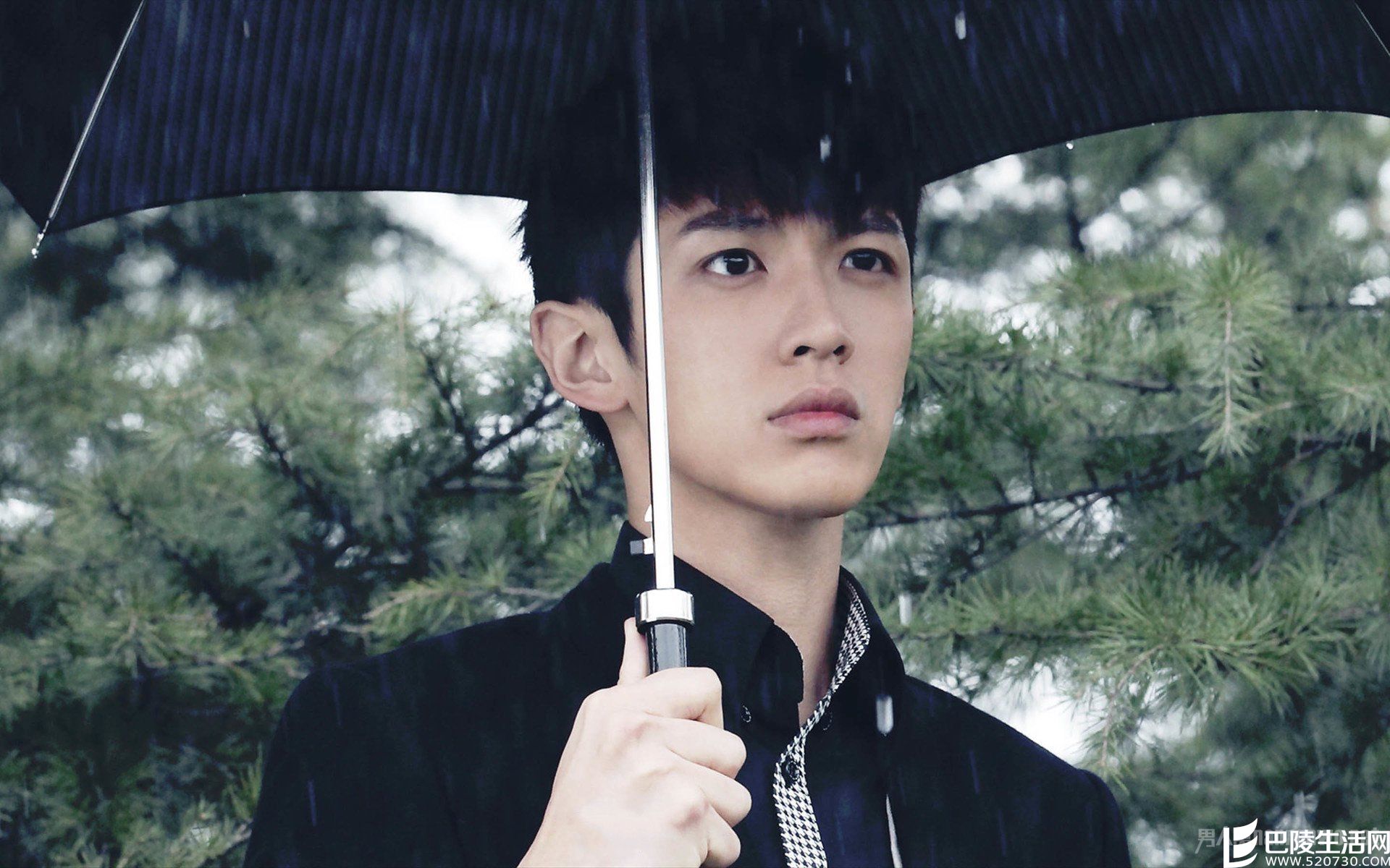 柯震东入围金马影帝