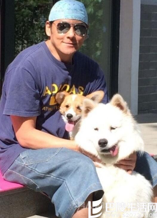 莫少聪承认离婚 莫少聪承认离婚